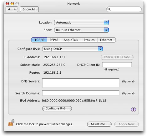 mac automatic ip settings